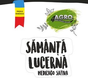 Sămânță ecologică de lucernă “Dobrogea”