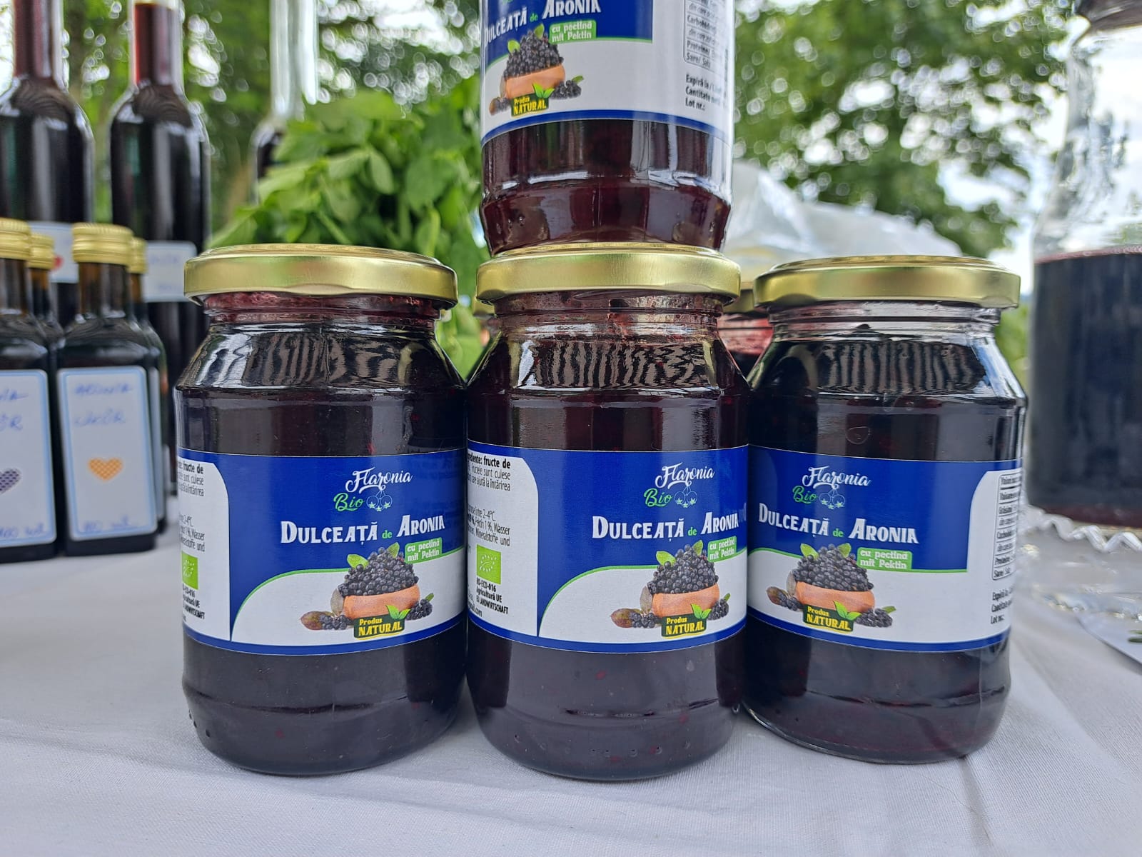 Dulceață aronia